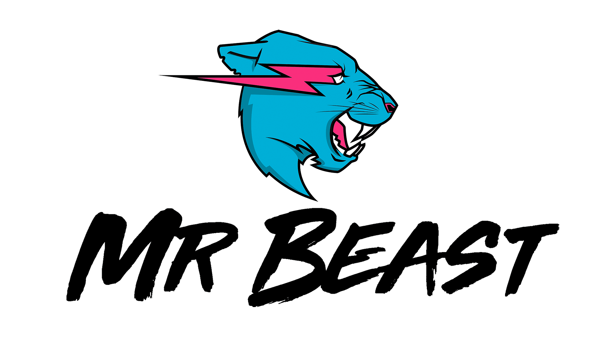 Brand: MRBEAST