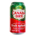 Canada Dry USA Fruit Splash Cherry Ginger Ale 355 ml
